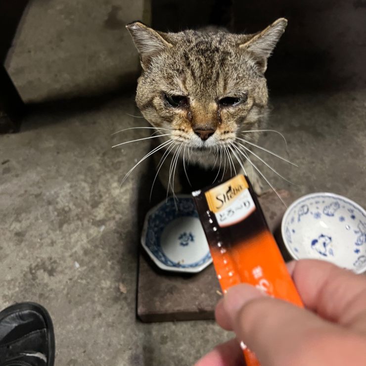 食べていい？