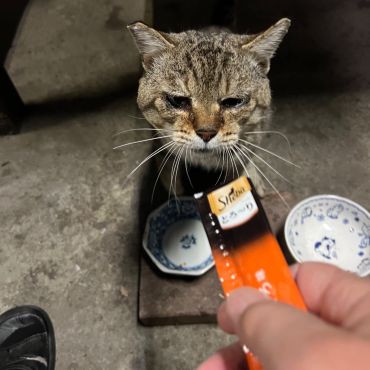 食べていい？