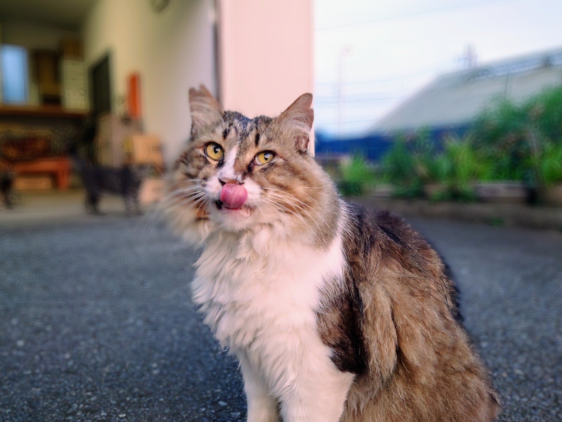 ごちそうさま🎵