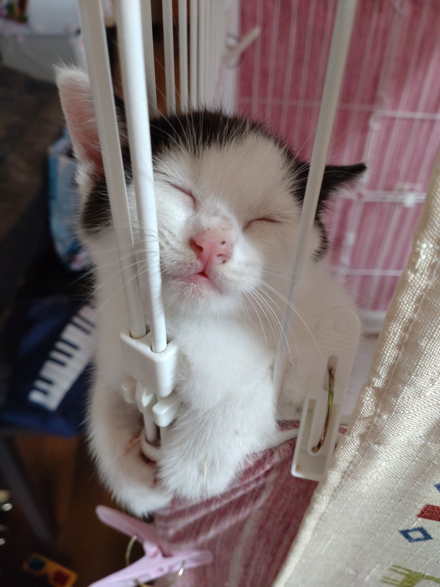 それより疲れた・・・