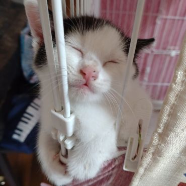 それより疲れた・・・