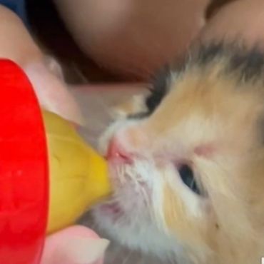助かった命です