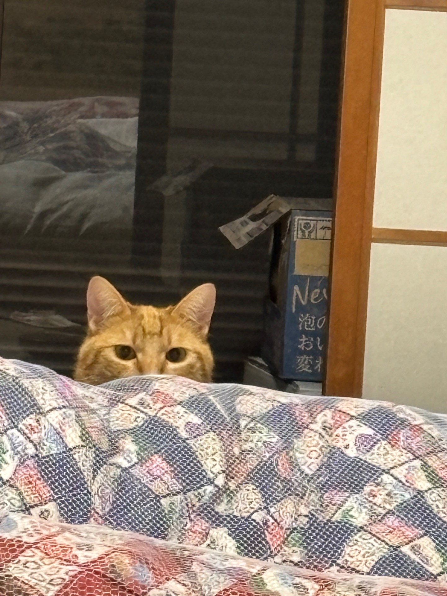 あんた誰？？