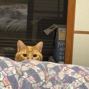 あんた誰？？