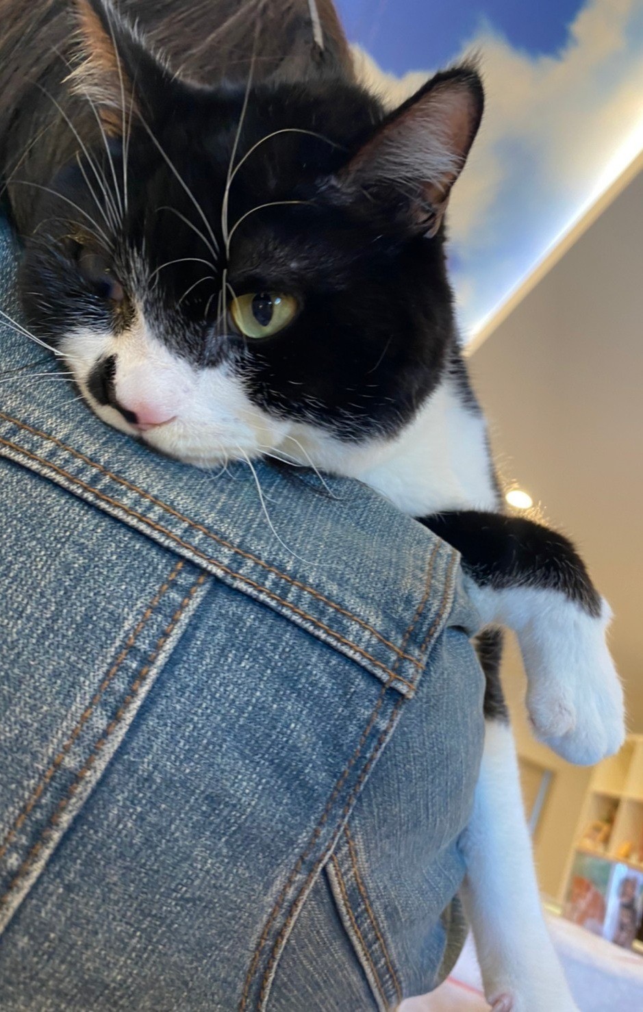 生きる眼力