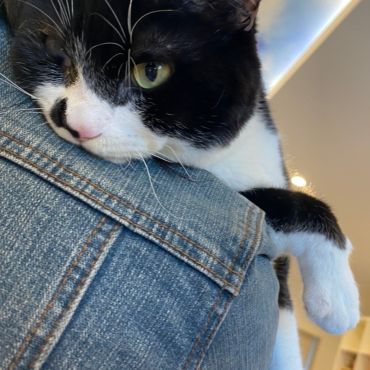 生きる眼力