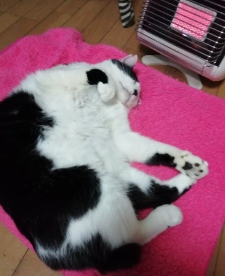 初体験