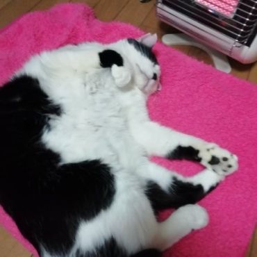 初体験