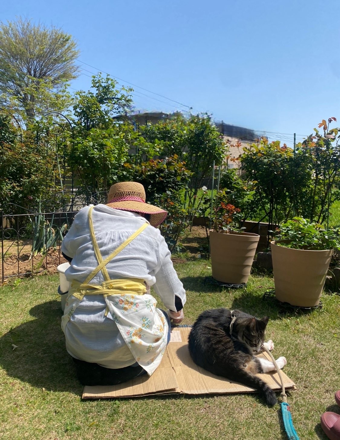 ばあばと僕