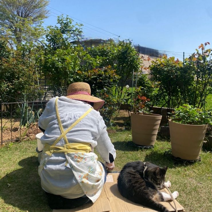 ばあばと僕