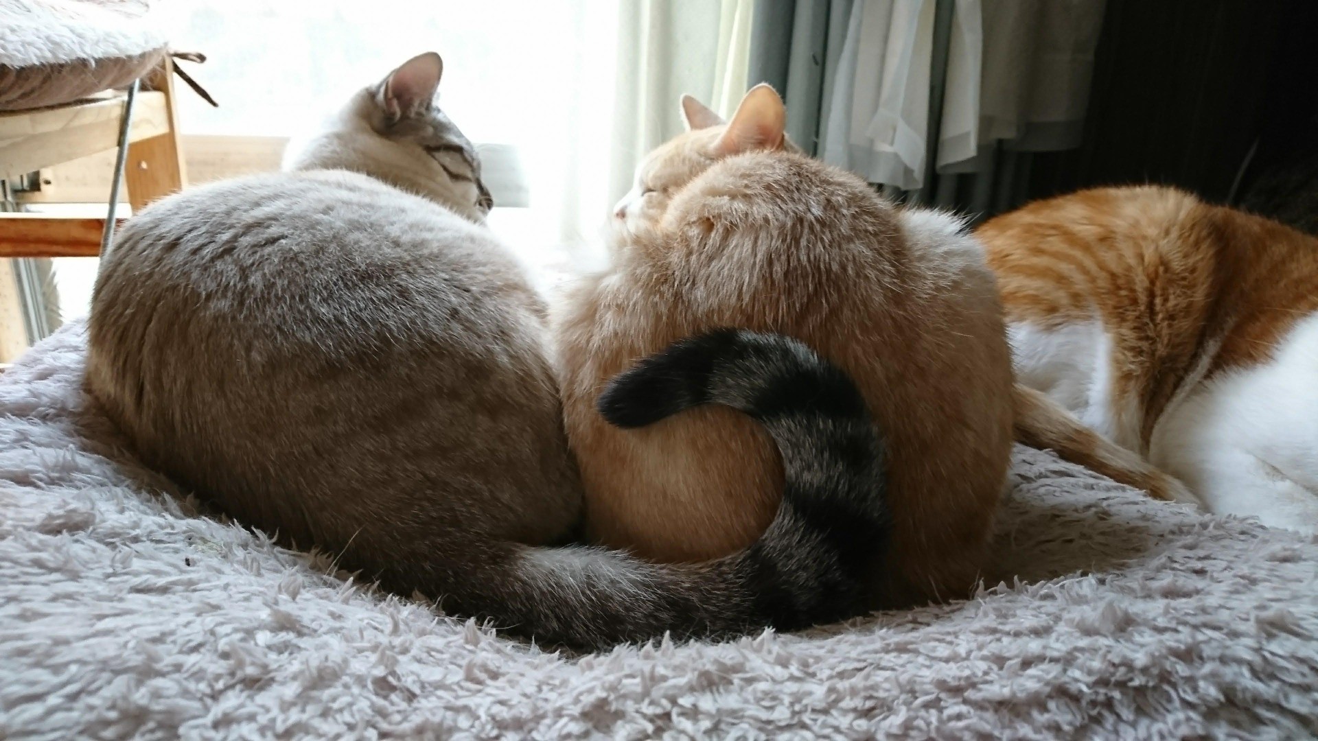 ハートフル