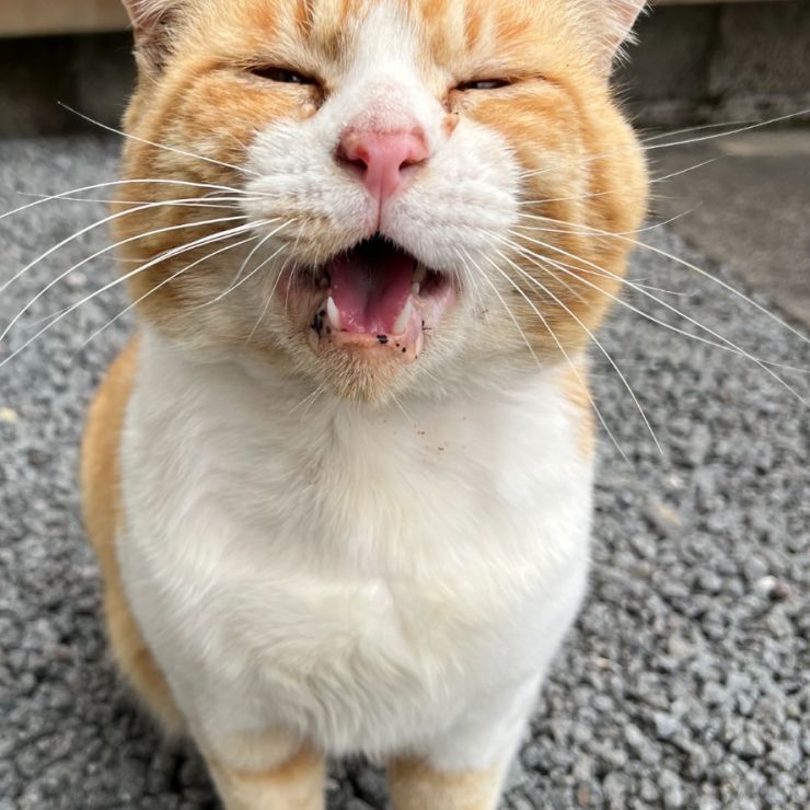 嬉しい‼︎