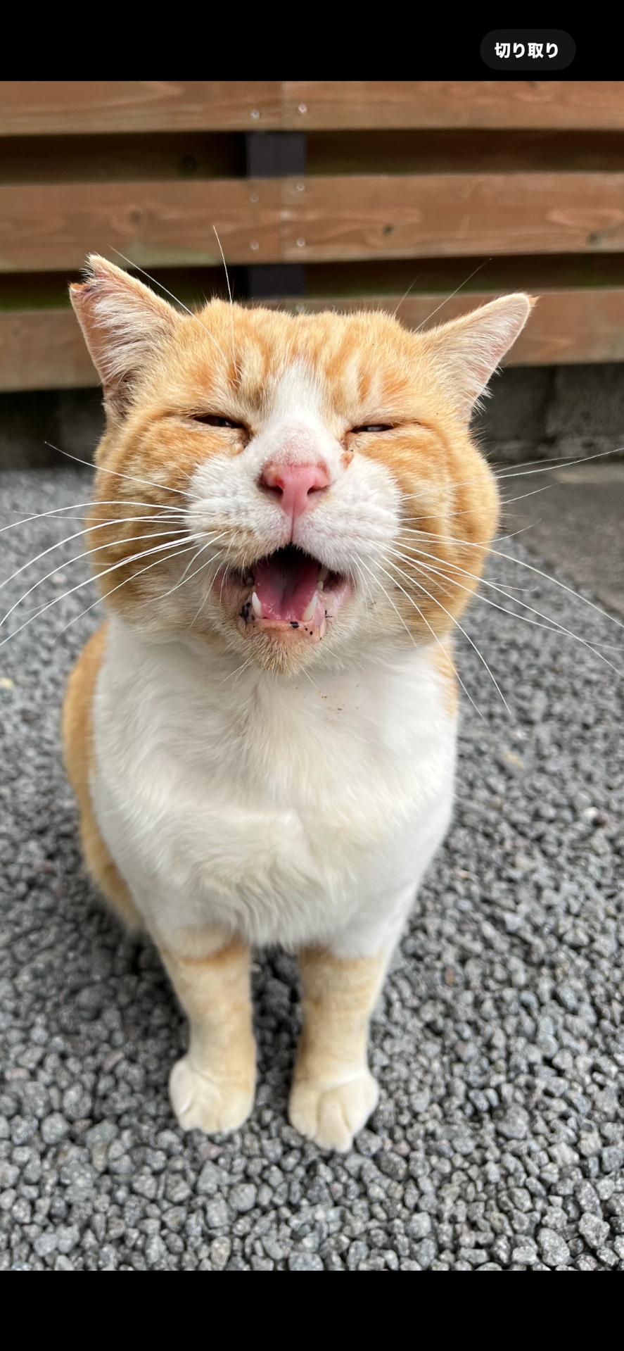 嬉しい‼︎