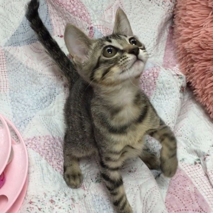 おっとりルルちゃん、元気いっぱい!