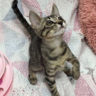 おっとりルルちゃん、元気いっぱい！