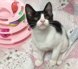 ララちゃん、こっち向いて～