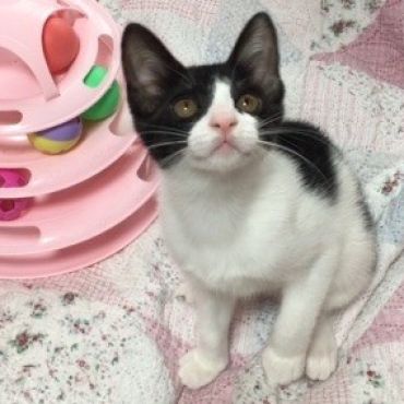 ララちゃん、こっち向いて～