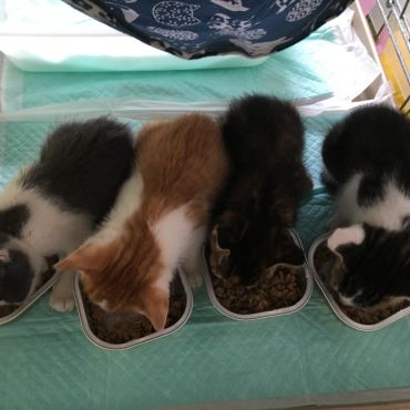 いのちつないだ！その先に