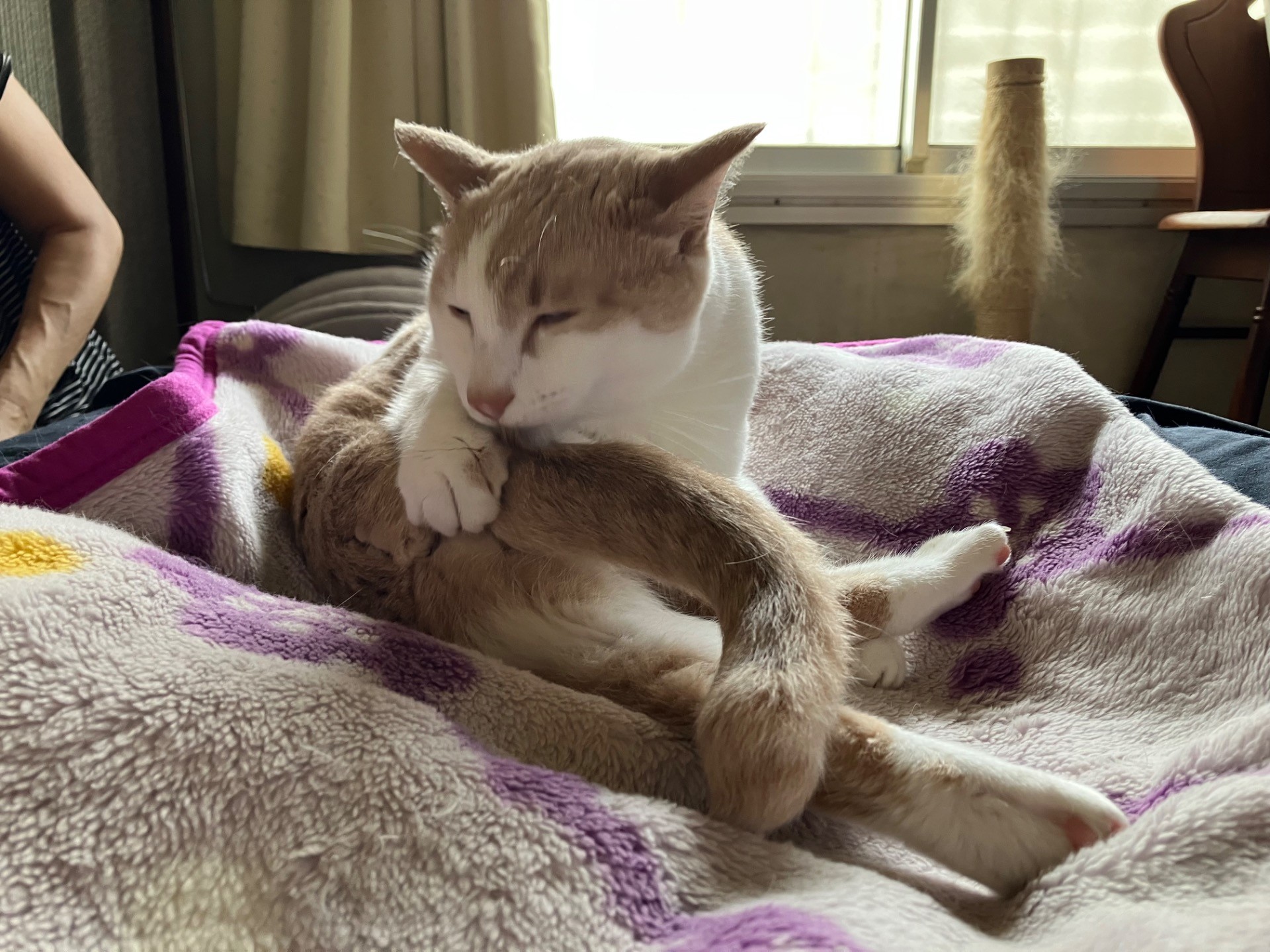 キー坊
