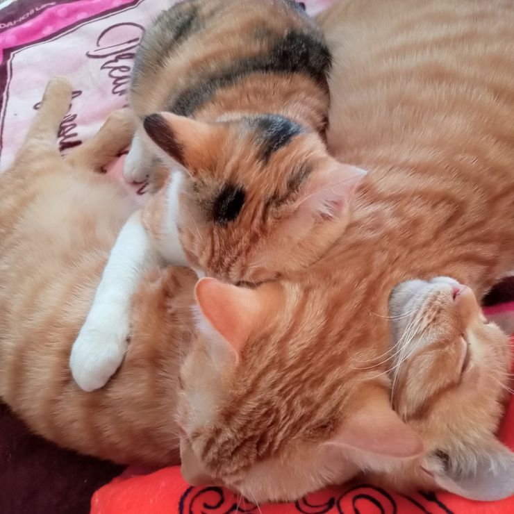我が家へようこそ