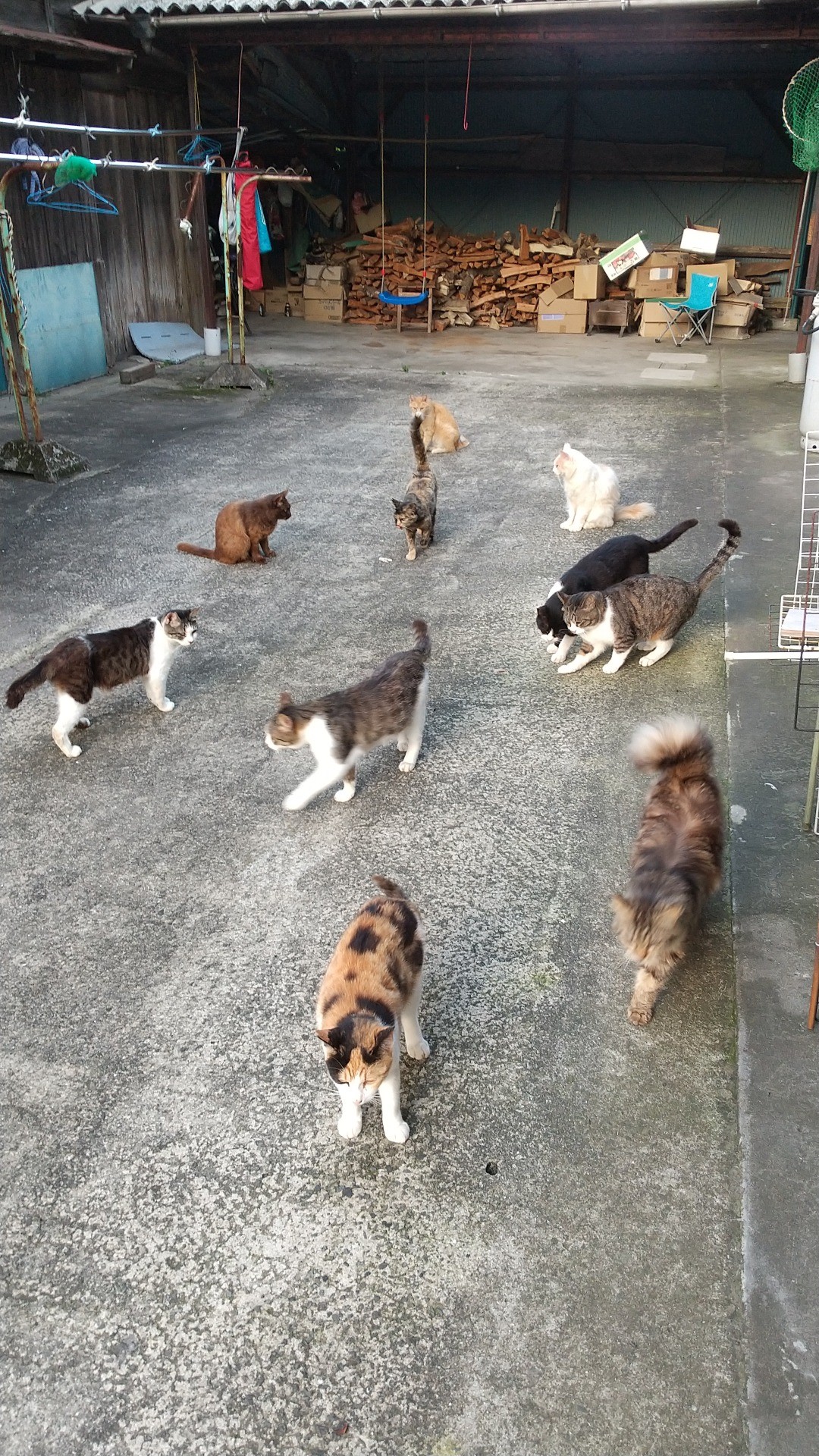 ごはん前にソワソワ
