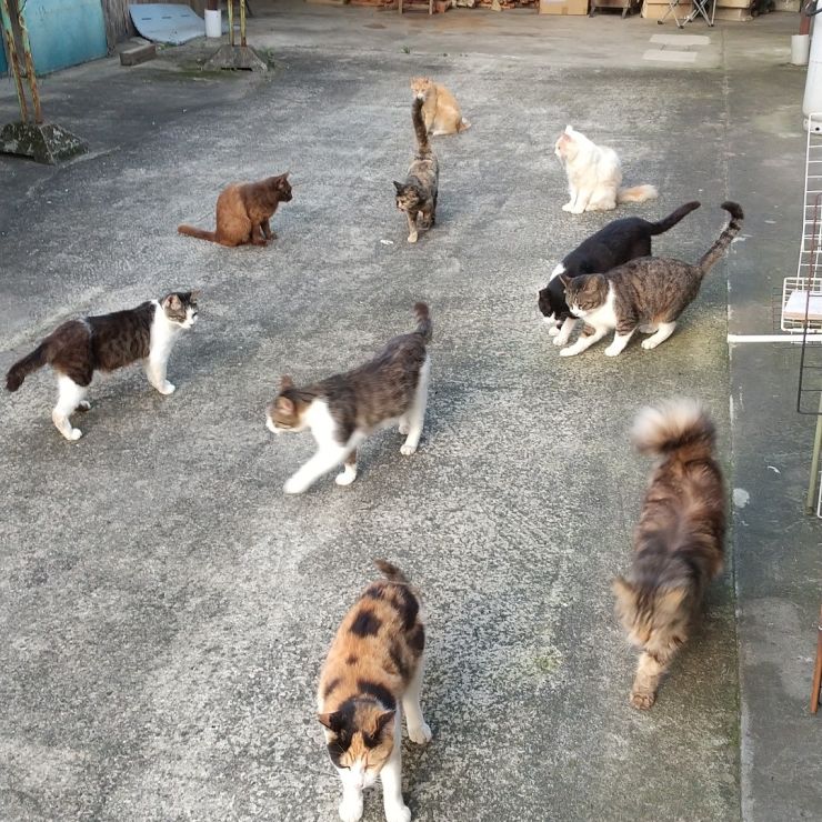 ごはん前にソワソワ