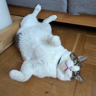 僕かわいいよね？