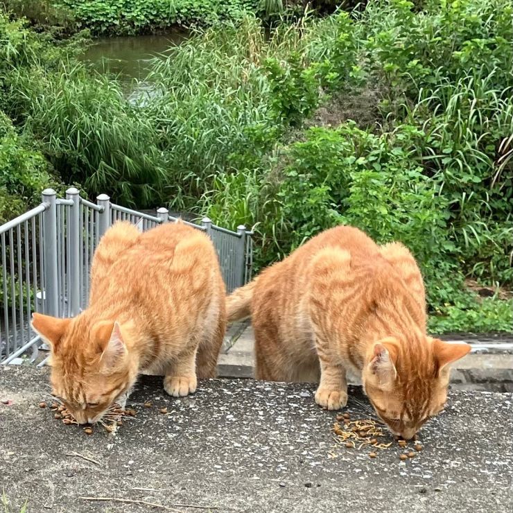 ずっといっしょ