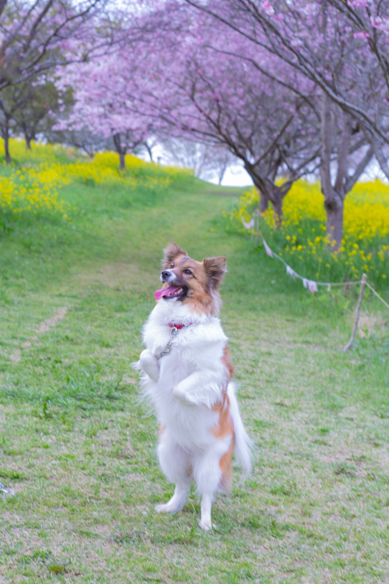 早く逢いたい！！