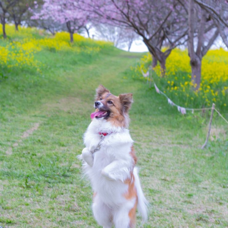早く逢いたい!!