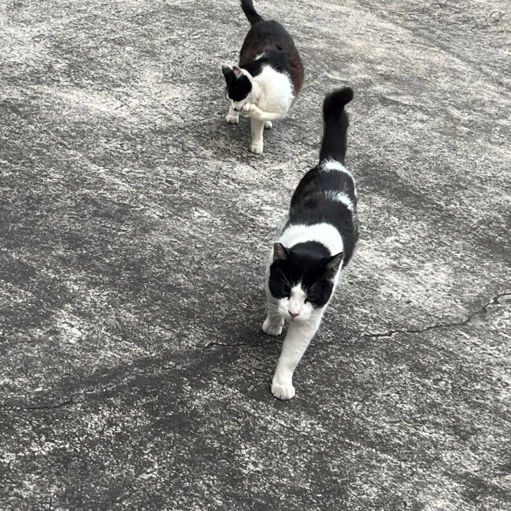 母ちゃんと父ちゃん付き合いも長くなったな