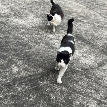 母ちゃんと父ちゃん付き合いも長くなったな