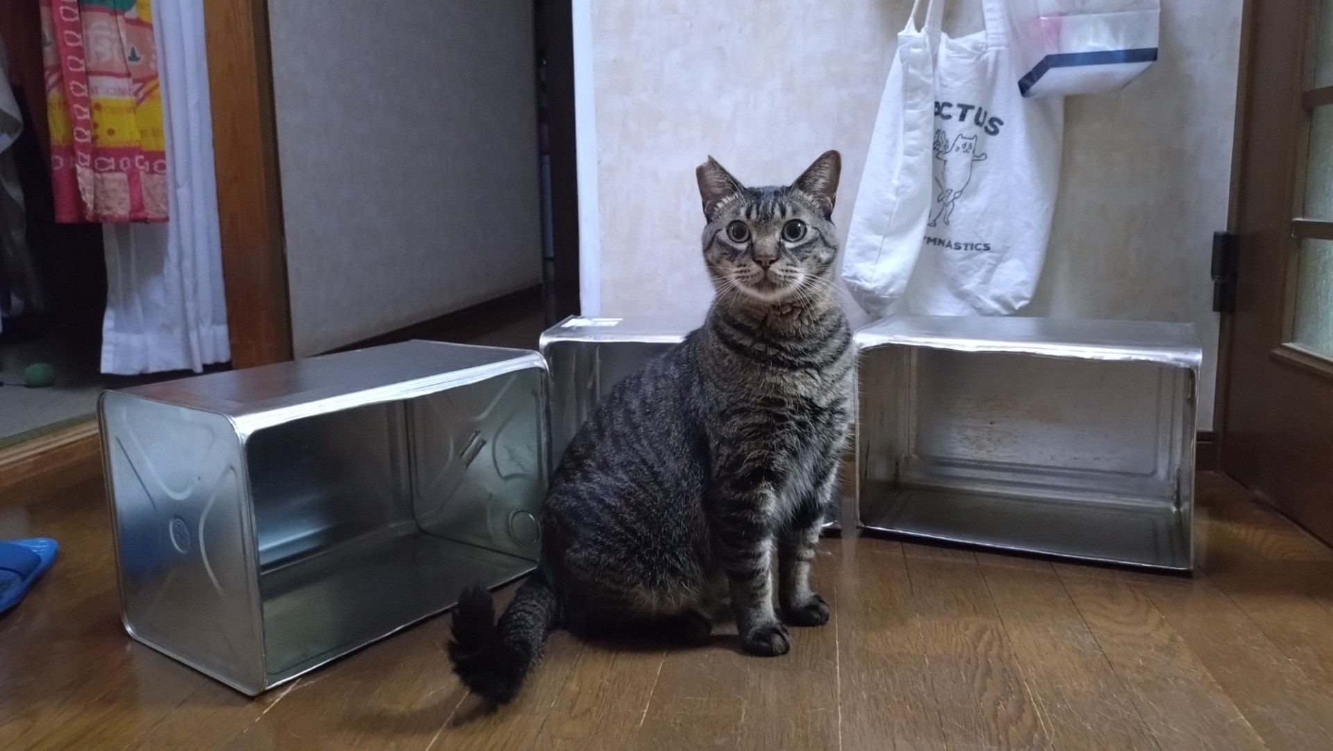 命をつなぐために