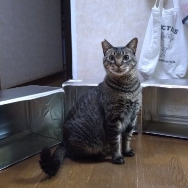 命をつなぐために