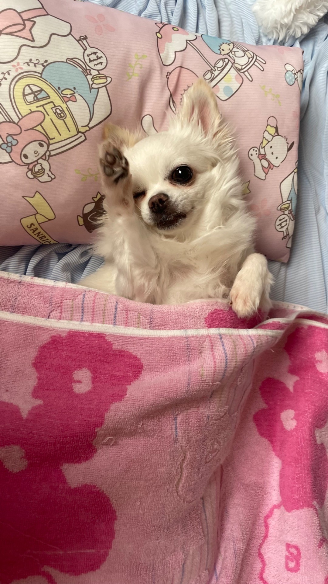 おはよぉ
