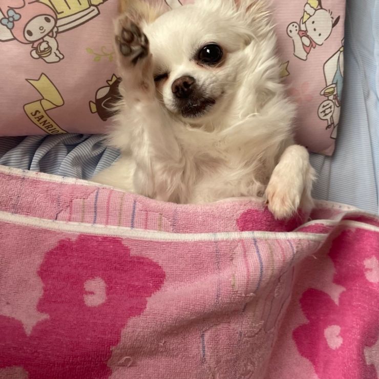 おはよぉ