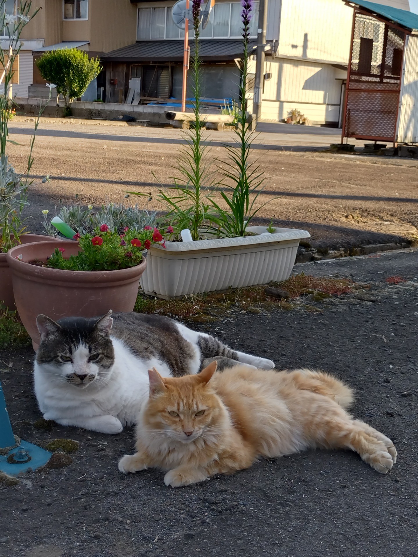 もうすぐ夕暮れだよ