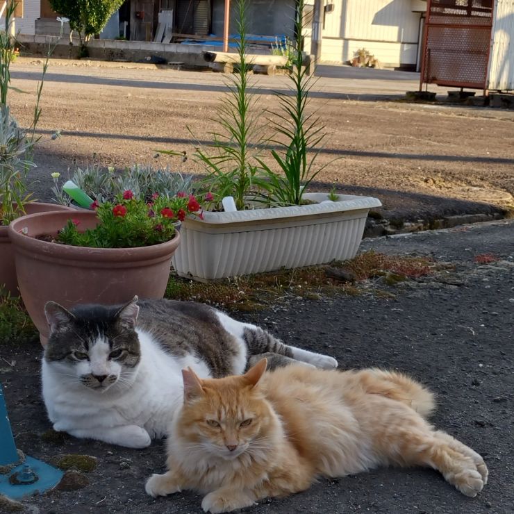もうすぐ夕暮れだよ