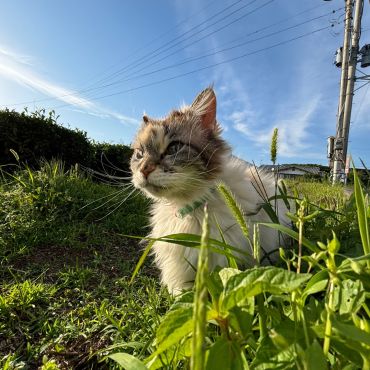 新緑の季節に出会えてよかった