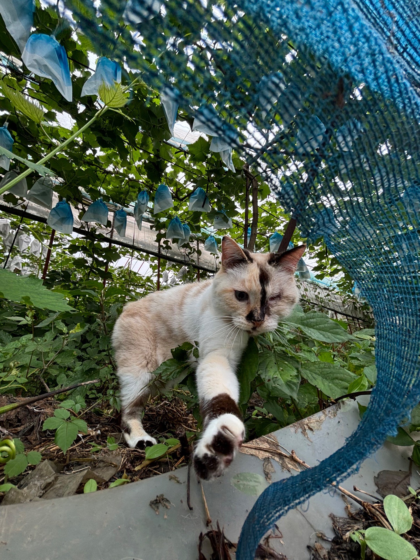 私の居場所みーつけた