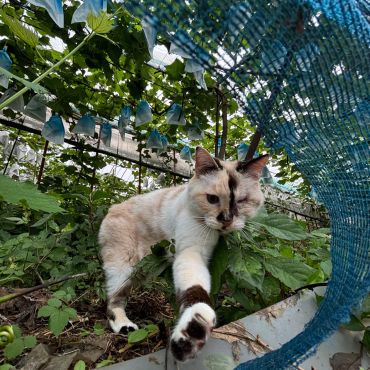 私の居場所みーつけた