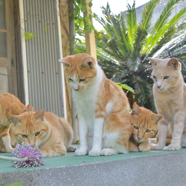 同級生