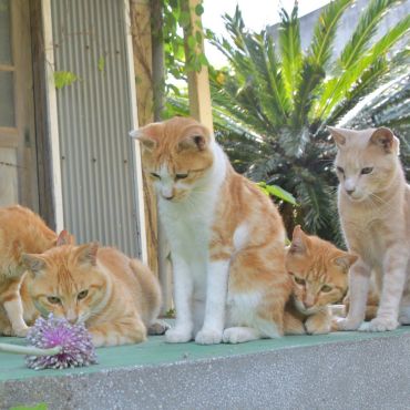 同級生