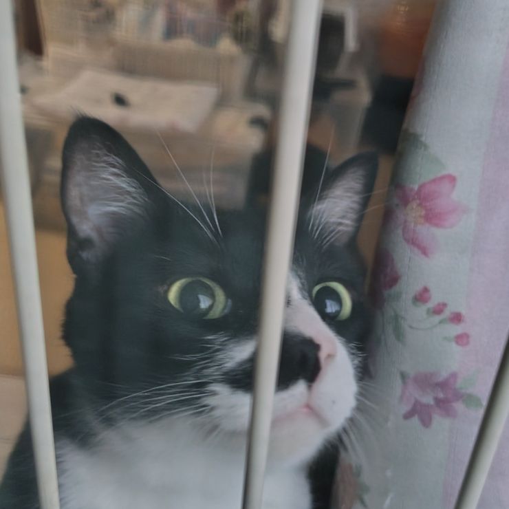 どこ行くの？