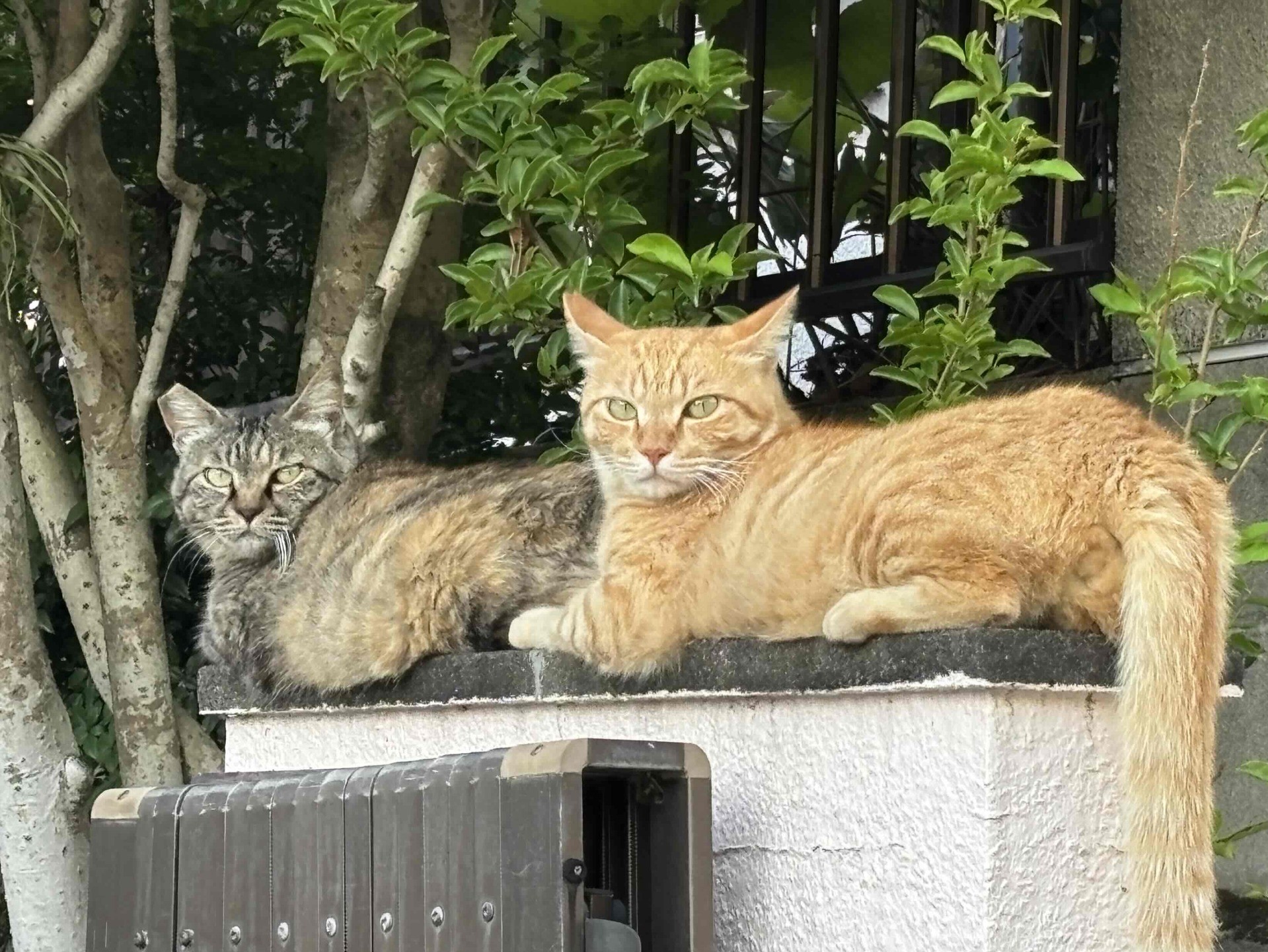 くつろぎの大切な時間