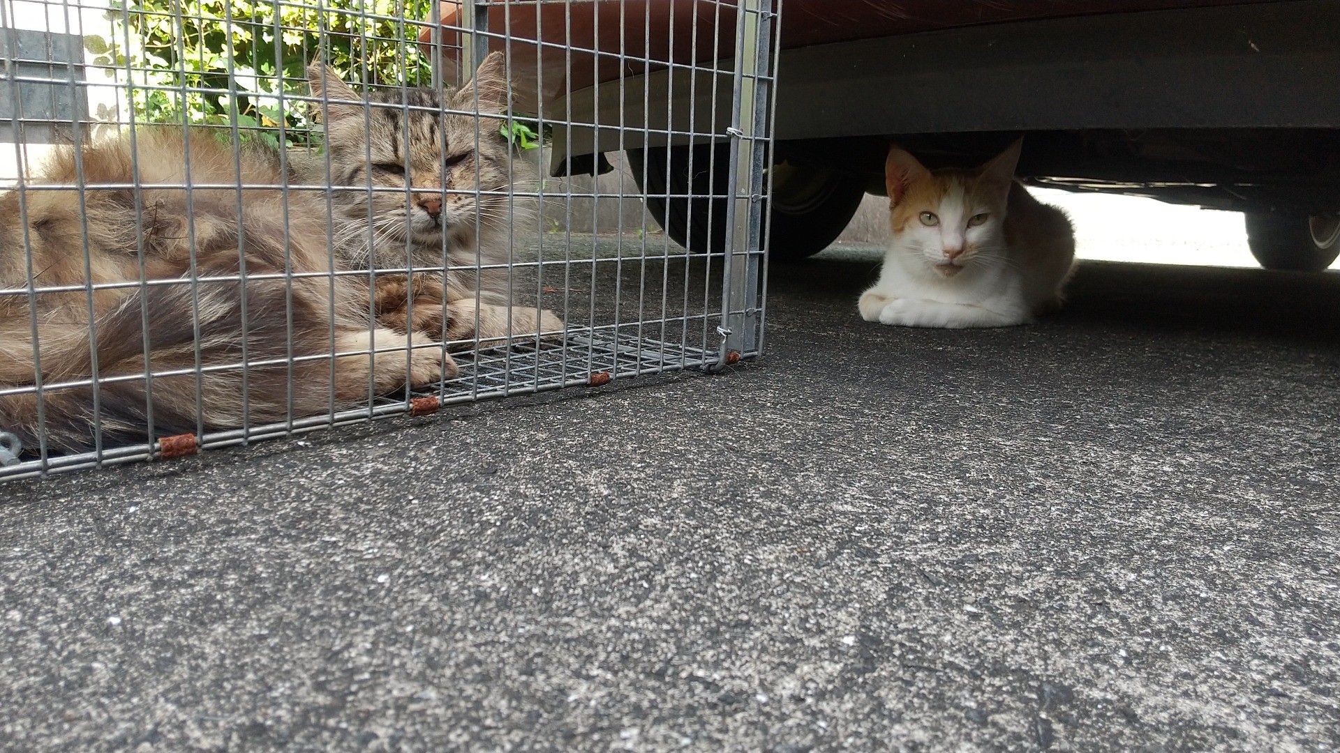 ぼくっ、はいれないんだけど？