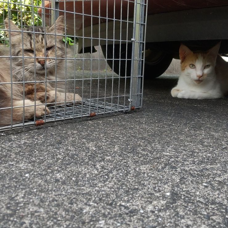 ぼくっ、はいれないんだけど？