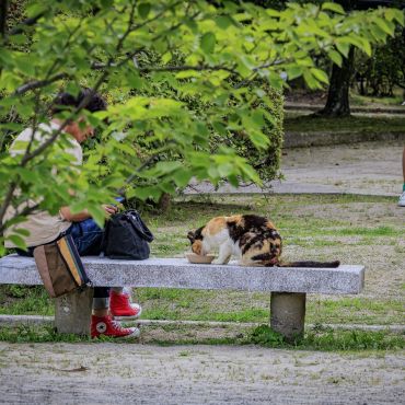 公園のアイドル