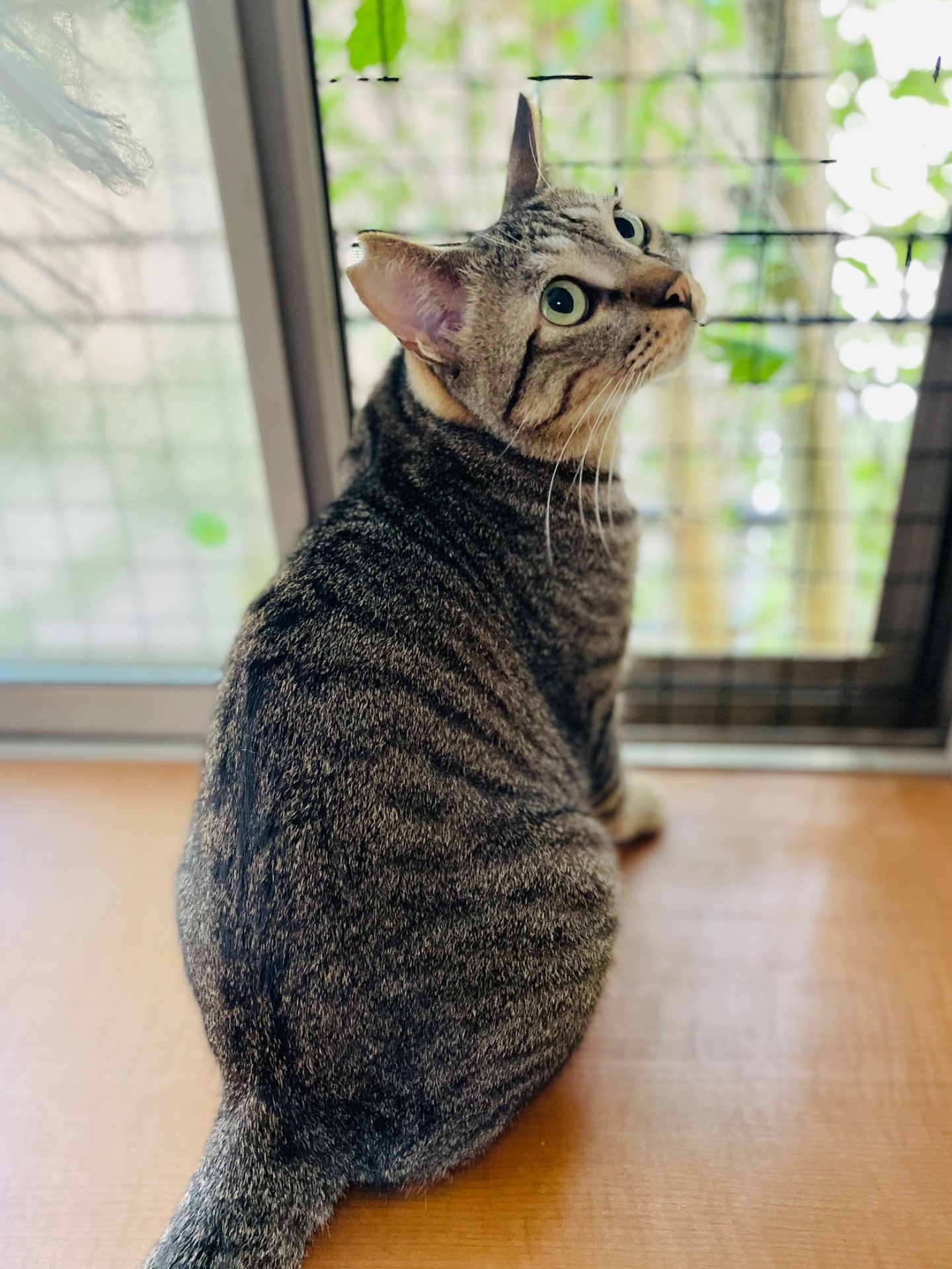 ボク幸せになるよ！