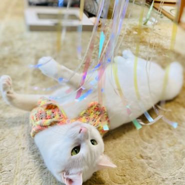 キラキラ明るい未来へ